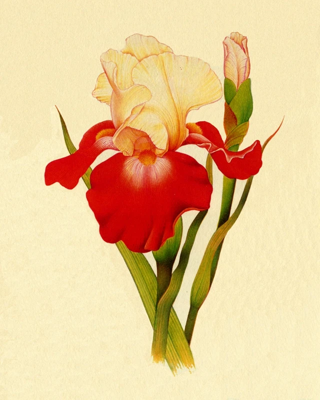 Набор из 100% натурального шелка для рукоделия 20*25 см | Дом и сад