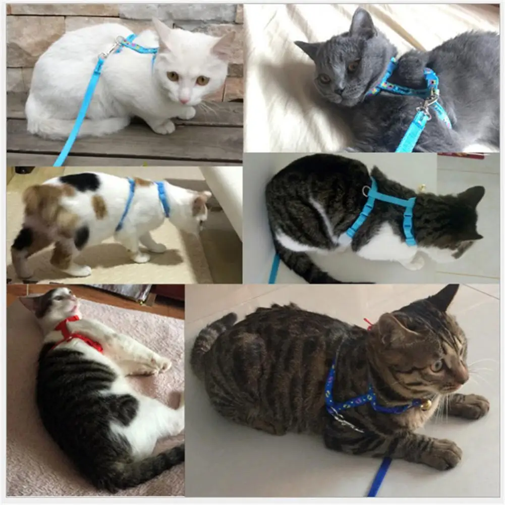 1 шт. милый цветочный принт нагрудный ремень для кошки поводок с принтом прогулок