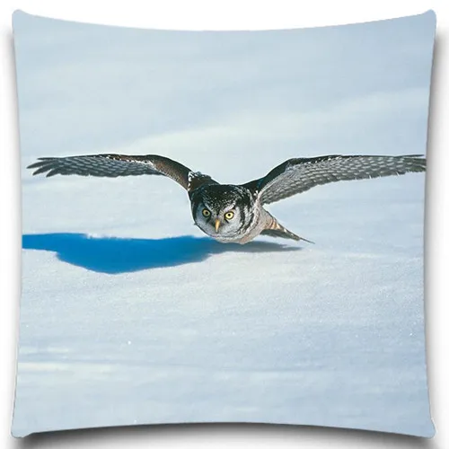 Животных птиц выгодное предложение 2016 наволочка площади сова Чехлы декоративная