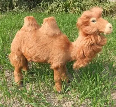 Моделирование животных большой 45x35 см двугорбый модель верблюда похожая на