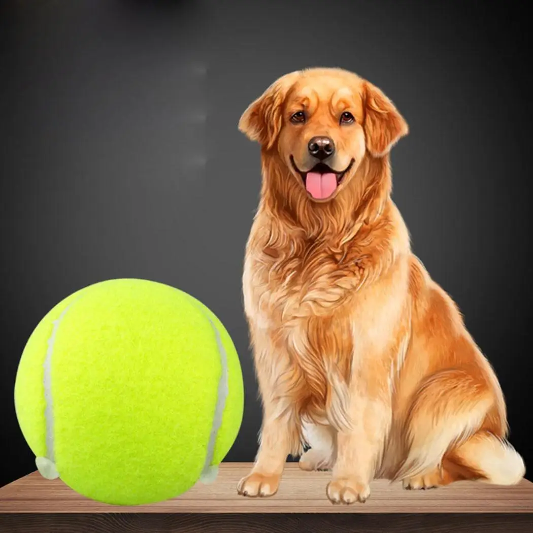 9 5 дюймов стрейч для домашних животных Спортивные товары тенниса на открытом