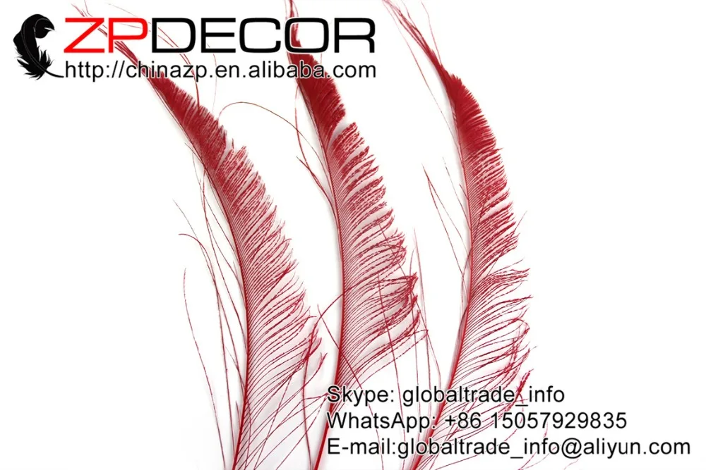ZPDECOR 50 шт./лот 30 40 см (12 16 дюймов) ручной выбор премиум красный отбеленный павлин
