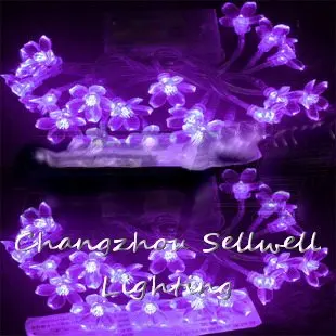 

Отлично! Украшение для праздника, аксессуар для рождественской елки, цветочный магазин. Продукт 2,5 м вишня Светодиодная лампа; Аккумулятор ...