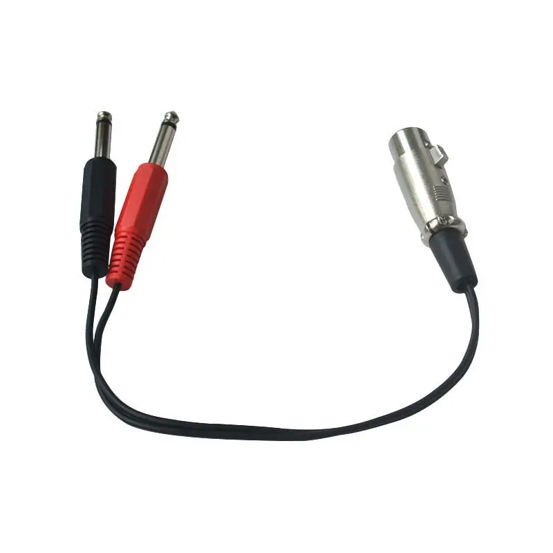 Мать оказывается двойной большой два основных XLR карты 6 35/6 5 одна минута аудио