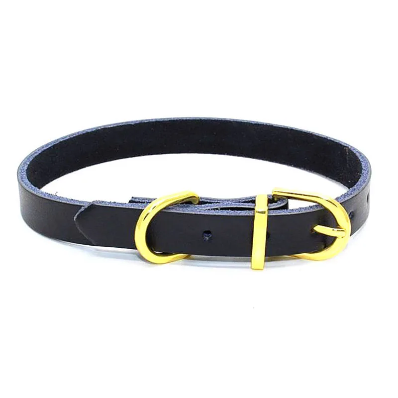 Soft Real Leather Pet Small Dog Cat Collar with Golden Buckle Simple Fashion Design Necklace for Kitten and Puppies | Дом и сад