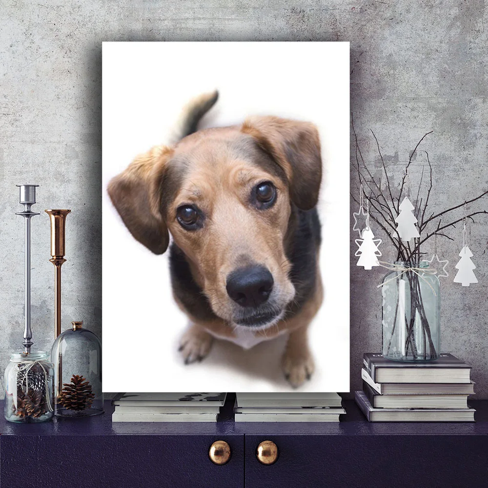 Милая собака лицо милые животные плакат Настенная картина Картина на холсте
