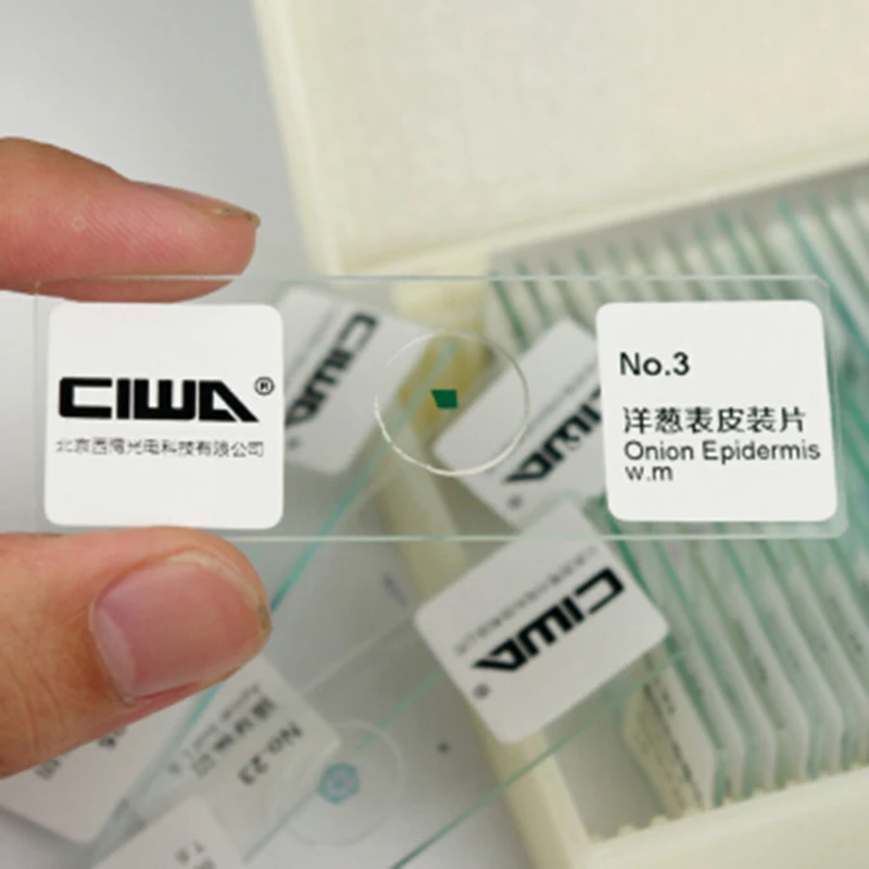 Микроскоп CIWA HD биологический образец 25 ломтиков образцы растений и животных