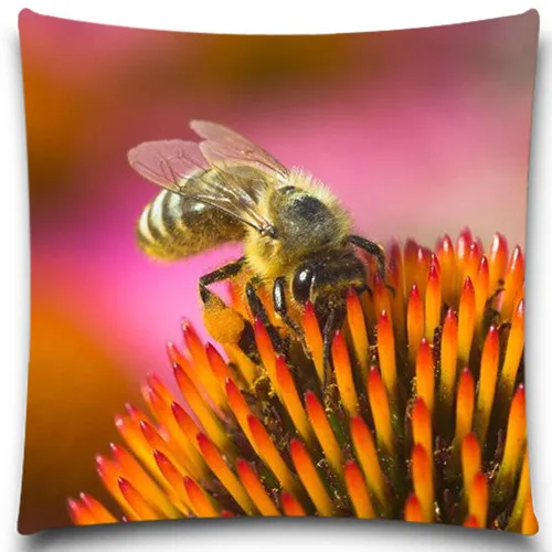 Квадратная наволочка с Пчелкой/лягушкой/бабочкой и цветами хлопковая