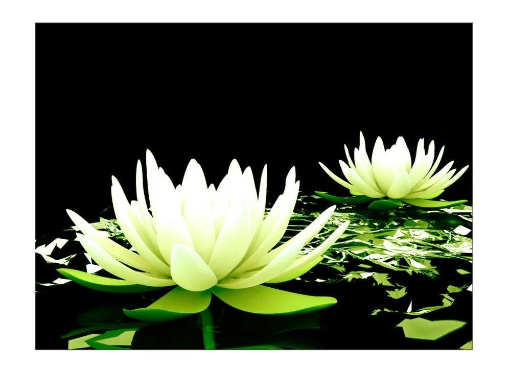 1 панель Бесплатная доставка Печать на холсте цветок белый лотос черной стене