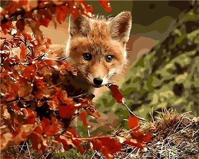 Натуральные животные, медведь, масляные краски, рисование по номерам, ручная краска, домашнее украшение, раскраска, картинки, краски по номерам для комнаты, подарок - Цвет: Темный хаки