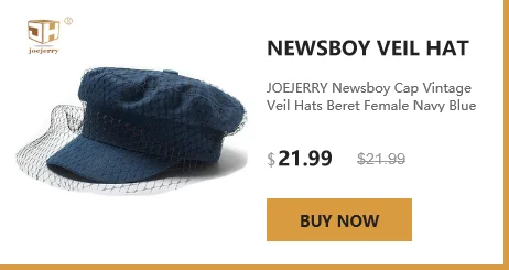 JOEJERRY Wool Beret Female French Hat Tweed Beret Plaid Hat with Veil For Wedding Party