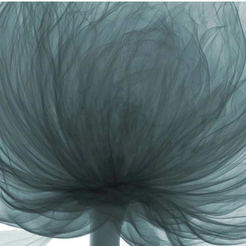 Картина с цветами Оливера гала плакат художественной печатью на холсте