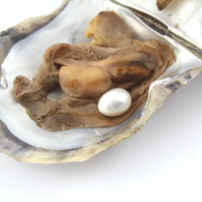 Выгодное предложение 6-8 мм Овальный Форма Жемчуг культивированный Oyster с одной жемчужиной внутри(10 шт./упак