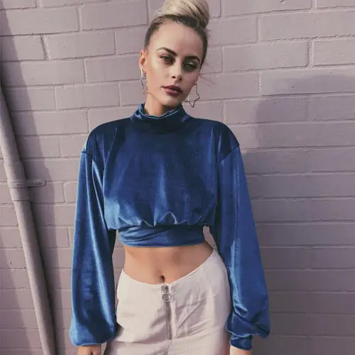 2017 женский осенне-зимний укороченный топ пуловеры с высоким воротом бархатная