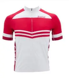 Оптовая продажа Германия Швеция Польша национальные майки для велоспорта летние