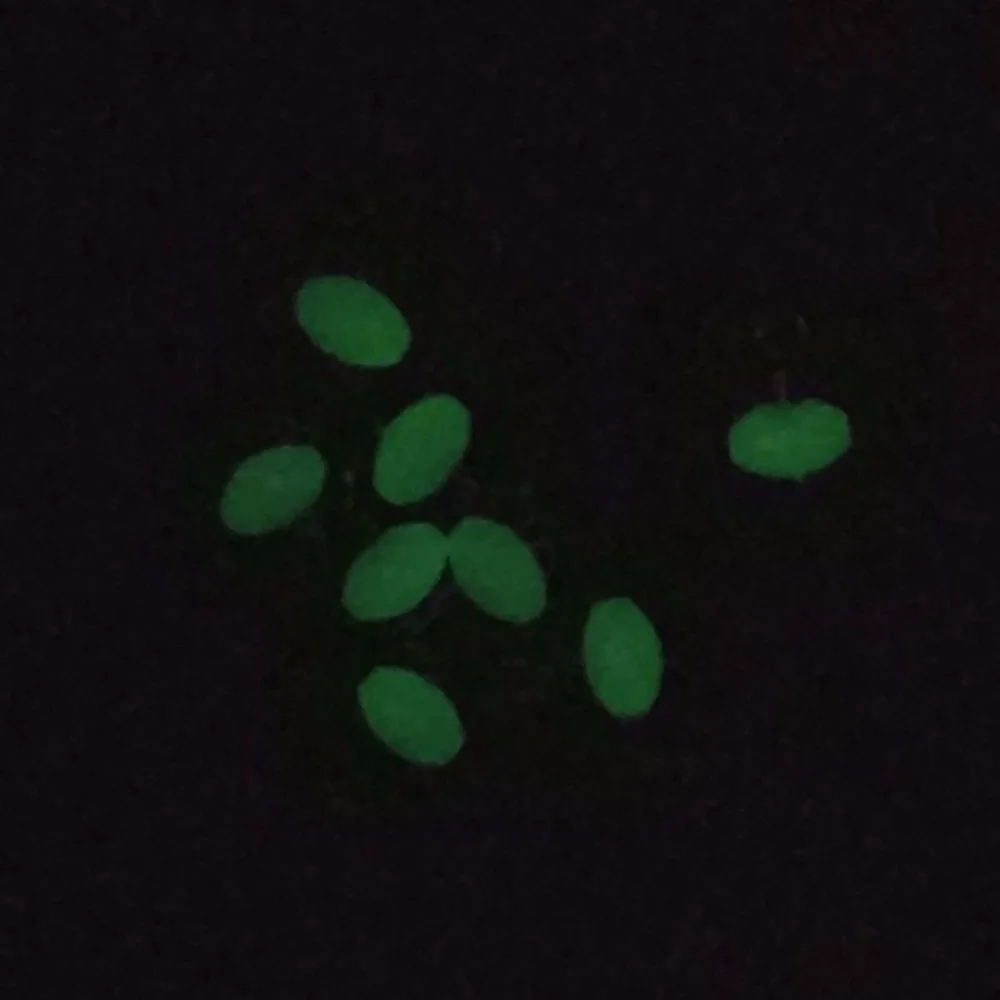 INFOF 100 шт./лот 3 способа рыболовные Вертлюги светящиеся снасти для ловли окуня