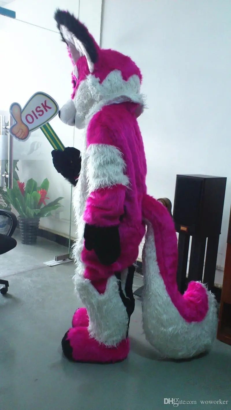 Ohlees реальное изображение Чихуахуа Роскошная лиса собака талисман костюмы