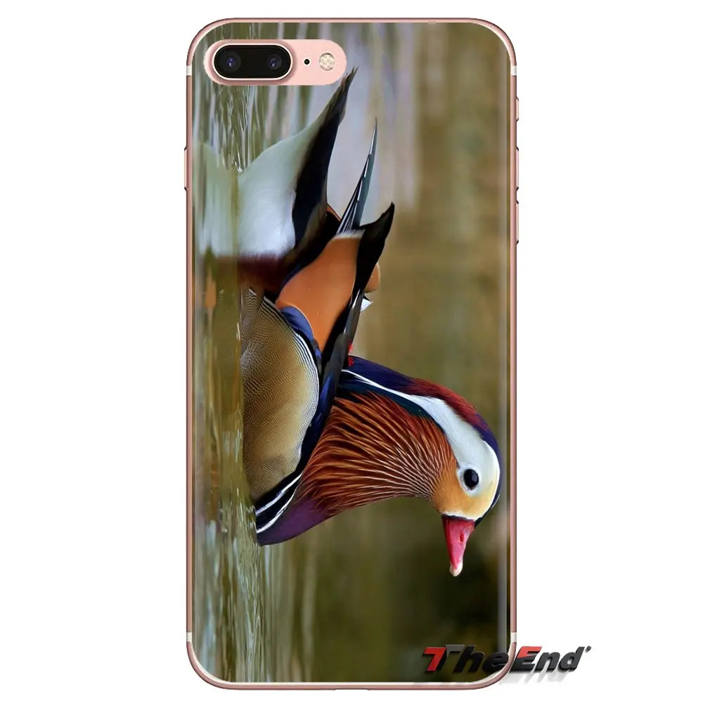 Водоотталкивающие птицы для Xiaomi Mi4 Mi5 Mi5S Mi6 Mi A1 A2 5X 6X 8 9 Lite SE Pro Max Mix 2 3 2S Прозрачные