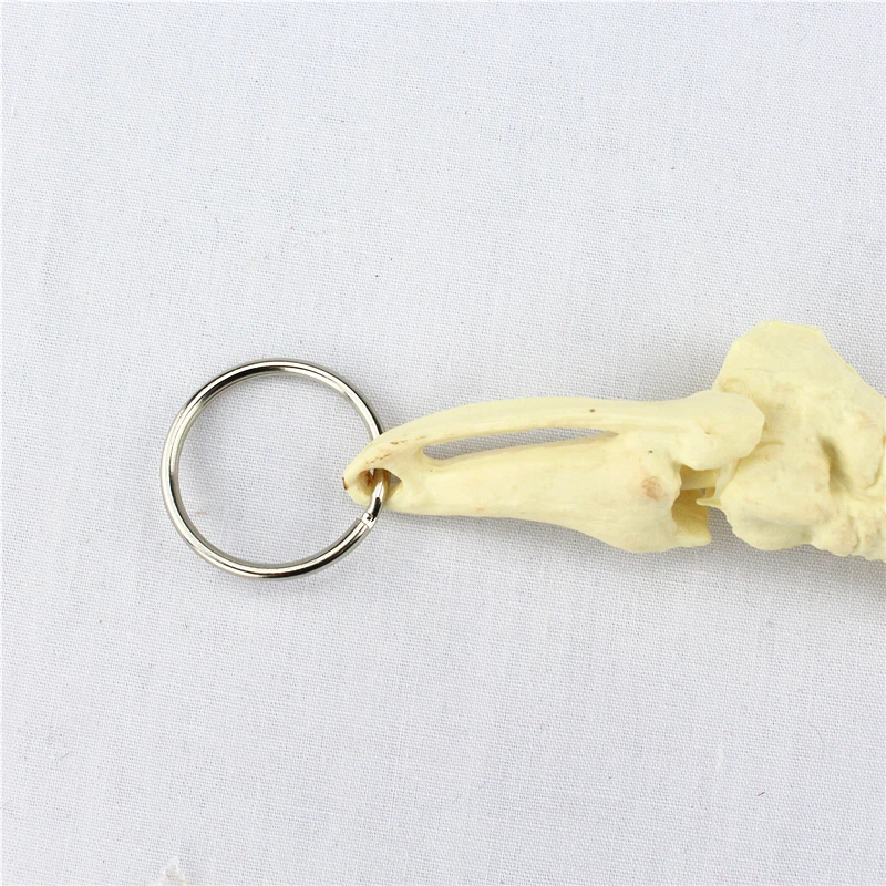 Застежка для ключей ног украшение подарок Пряжка humanorg анатомическая медицинская