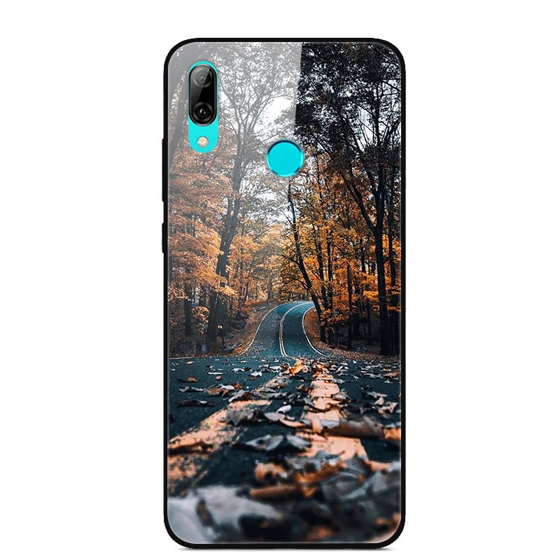 Для huawei P Smart Z чехол из закаленного стекла жесткий чехол для телефона для huawei Y9 Prime чехол s PSmart Z PSmartZ чехол задняя крышка 6,59''