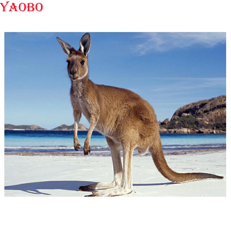 5D алмазная живопись животных кенгуру вышивка узор крестом мозаика картина