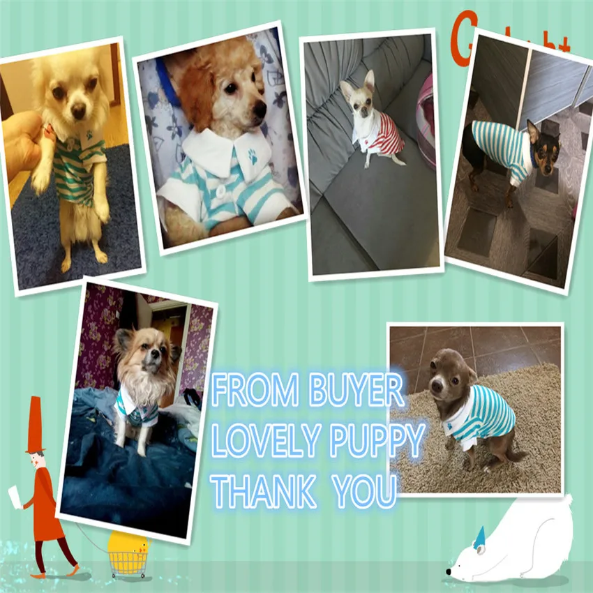 Новинка лидер продаж 2016 года одежда для маленьких собак и щенков модная