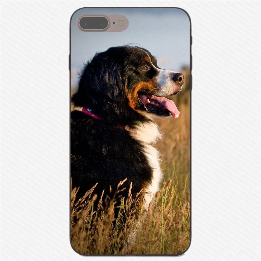as picture Мягкие TPU художественным принтом Бернская горная собака для Huawei Honor 5A 6A 6C 7A 7C 7X 8A 8C 8X9 10 P8 P9 P10 P20 P30 Мини Lite плюс - Цвет: as picture