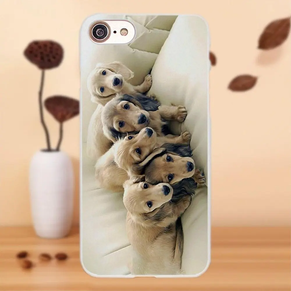 Bixedx Чехлы щенков Кабс собаки Пудель Мопс Doggy для Apple iPhone 4 4S 5 5C SE 6 S 7 8 Plus X LG G4 G5 G6 K4 K7 K8