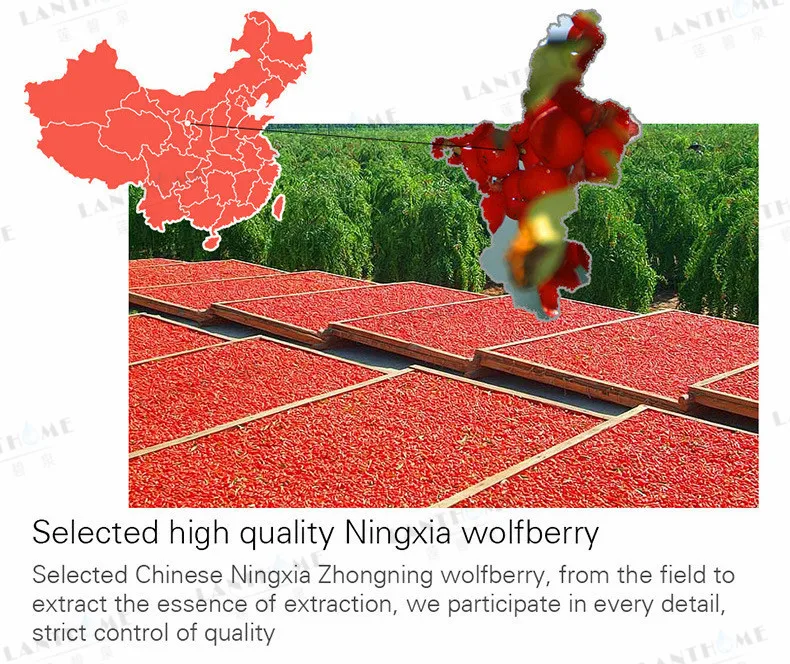 Lanthome крем с экстрактом Годжи Wolfberry ночной крем для лица против морщин крем для лица подтягивающий ягоды годжи Молодежный люминесс день и ночь