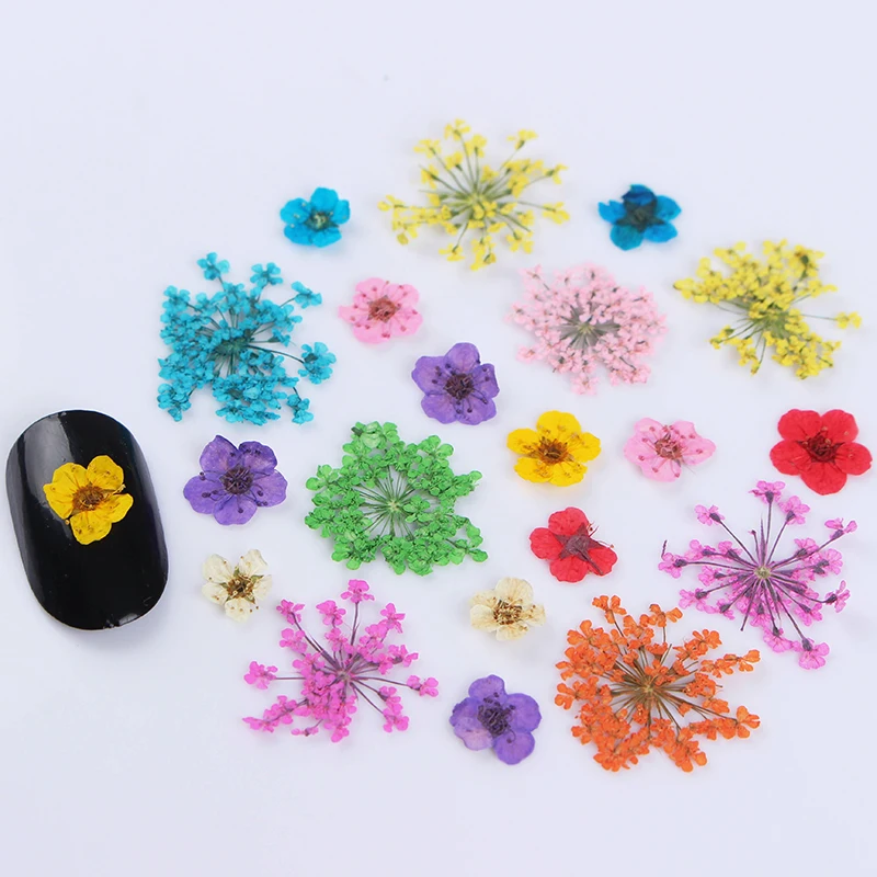1 коробка высушенный цветок для ногтей художественное украшение Смешанные