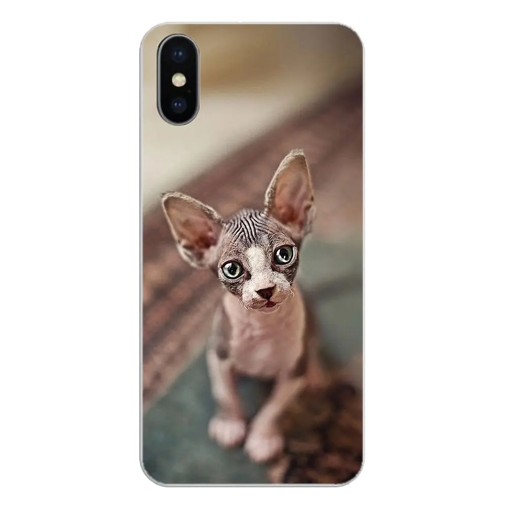 Силиконовый чехол для телефона Friendliest sphynx cat kitty Poster Huawei P20 Lite Nova 2i 3i 3 GR3 Y6 Pro Y7 Y8 Y9 Prime