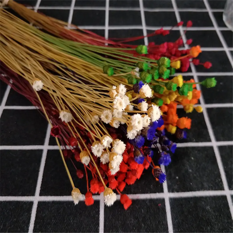 7 цветов букет счастливый цветок сухие цветы вечный декор дом фото реквизит | Дом