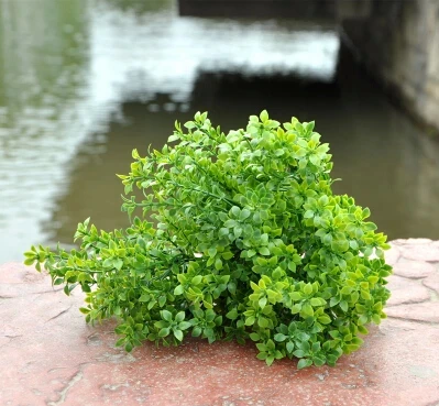 Искусственные растения Садоводство Цветок Стене Кашпо мини перец зеленая трава