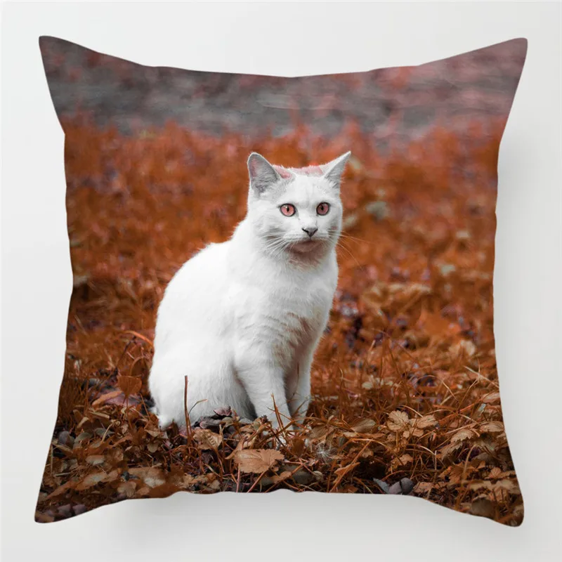 PC07368 Fuwatacchi милый чехол для подушки с кошкой размером 45*45 см канадский голая Наволочки домашние декоративные подушки для дивана, подушка для дома, стула, бросьте, наволочки для подушек - Цвет: PC07368