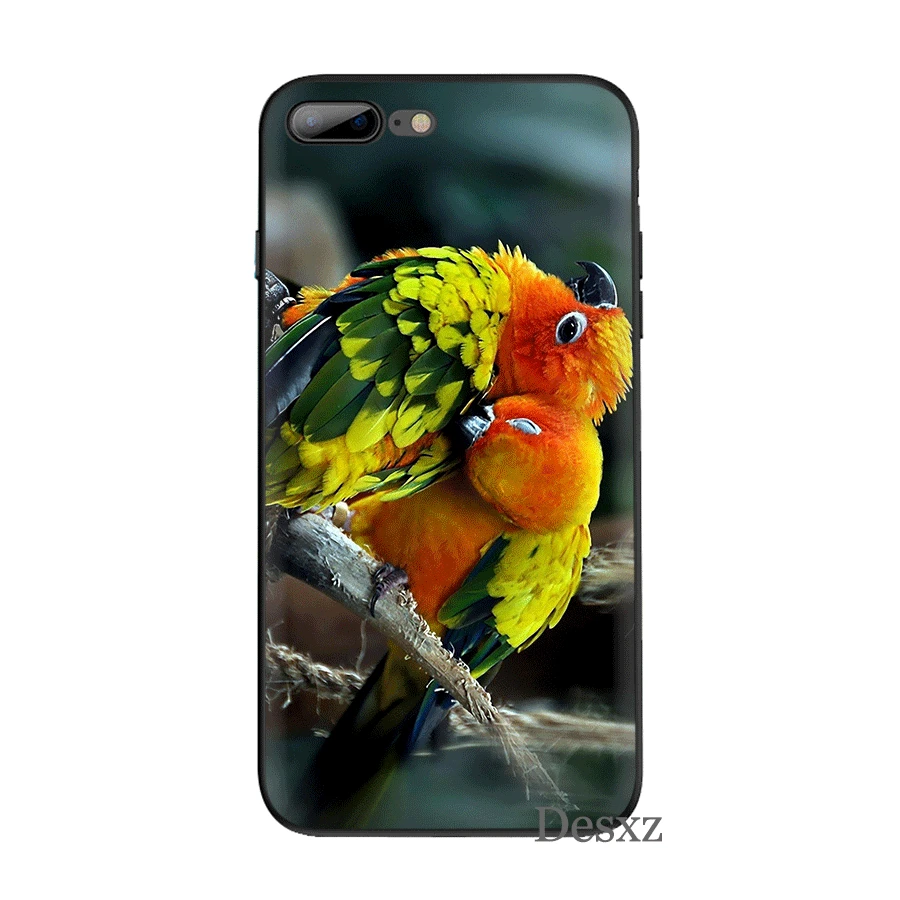 Черный мягкий ТПУ чехол для iPhone 11 Pro 5 5S SE 6 6s 7 8 Plus X XS XR Max|Чехлы-накладки| |