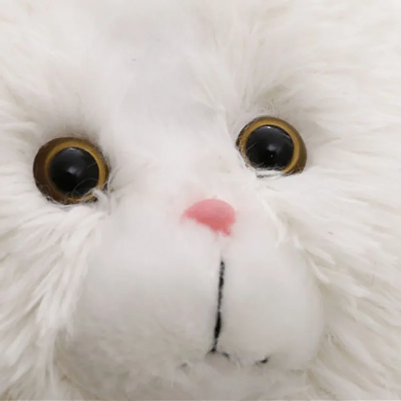 

Fat Pet Cats Persian Cat Toys Pembroke Pillow Plush Toys Soft Stuffed Animal Plush Dolls Simulation Peluches Gifts Kids WW108