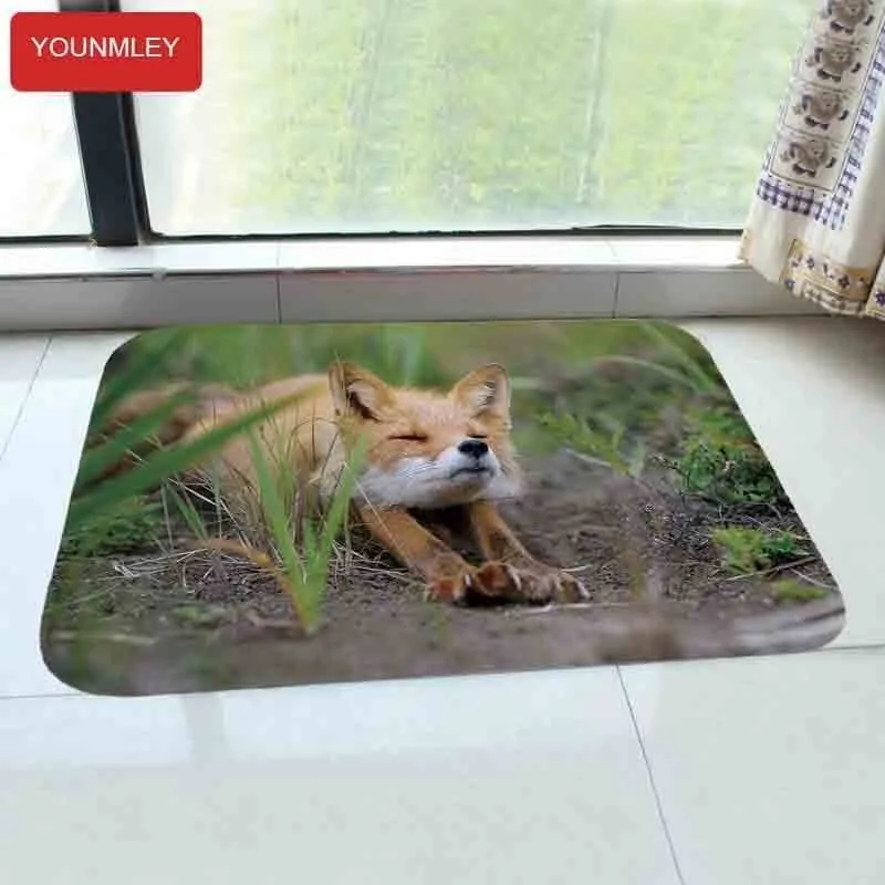 40x60 см современный коврик входной двери коврик, напольный ковер коврик на кухню в помещении/ванной комнаты противоскользящие ковры дверные коврики красота красная лиса печати А4 - Цвет: A4 5