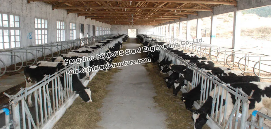 Горячая Распродажа карниз для птицы из стали|poultry|poultry sale |