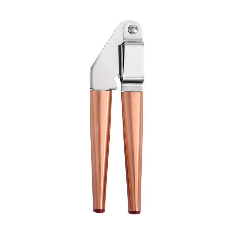 Garlic press ORZ розовое золото кухонная утварь гаджеты Металл Чеснок Пресс яблоко ядро суп ложка дуршлаг Тернер посуда для хранения проволочное ведро - Цвет: Garlic press