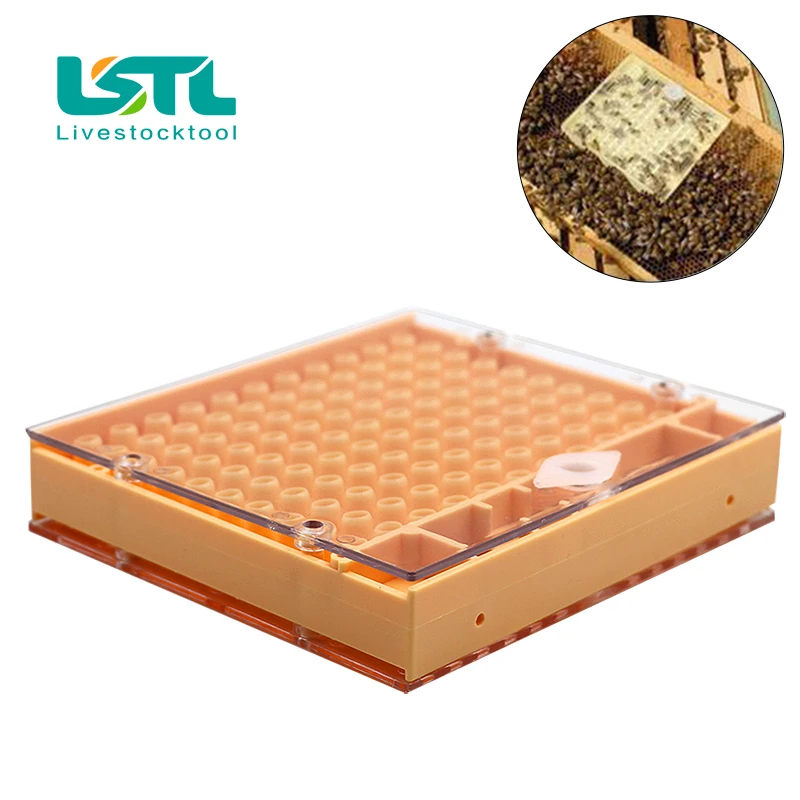 1 комплект пчеловодства оборудование королева пчела Reaing Box клетки для пчеловодов