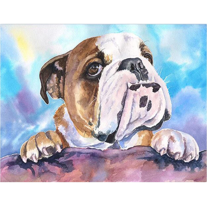 

full square mosaic,5d diamond painting English Bulldog diy diamond embroidery crafts home decoration needleworks Z504