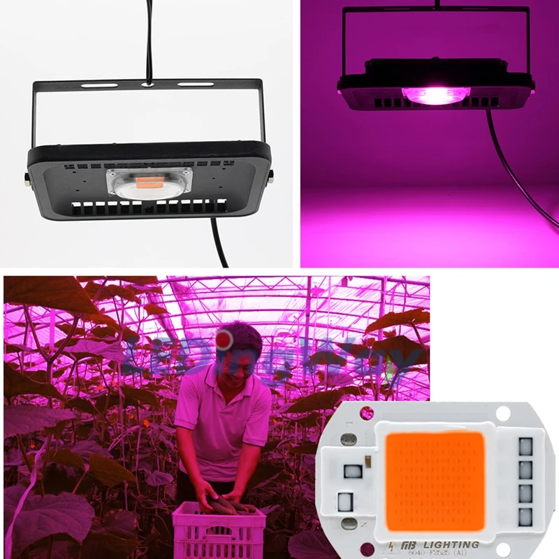 Светодиодный полный спектр растет чип 20 W 30 W 50 W Светодиодный удара шарика светильника для завод овощной шарик 110 V 220 В переменного тока