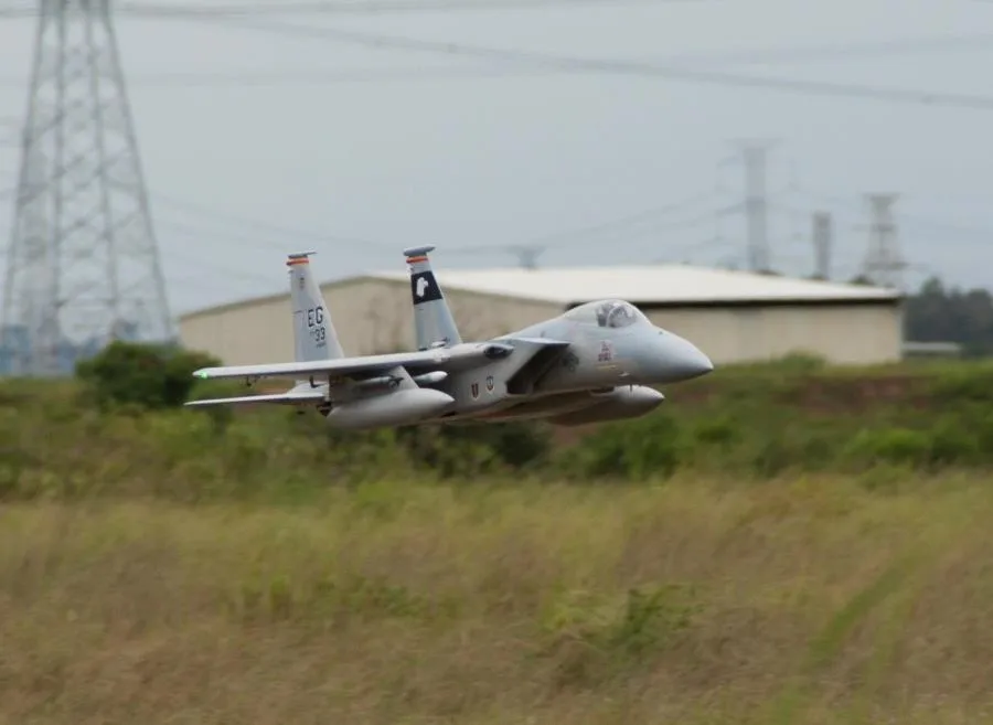 Freewing F-15 Орел 90 мм EDF реактивный самолет PNP EPO модель самолета F15