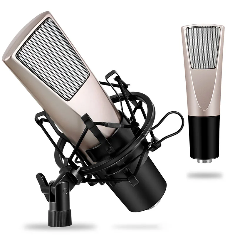 

Newly Professional Condenser Microphone Studio Broadcasting Mic with Mount for Computer PC Desktop