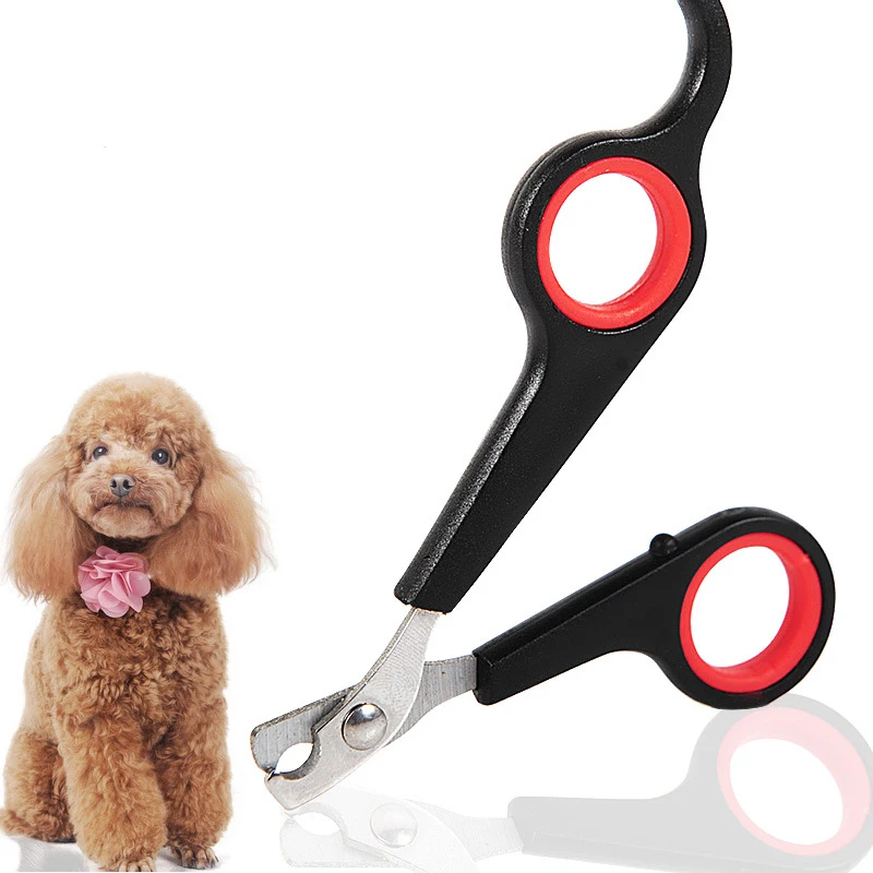 

1PC Durable Trimmer Cat Dogs Scissors Clippers For Nail Grooming Stainless Steel Blade Pet Toys