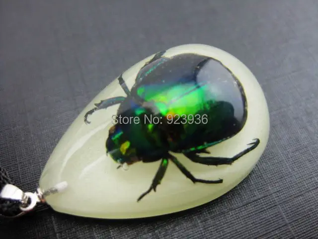 12 PCS Punk Rock Creepy Real Beetle In Glow The Dark Resin Pendant Promotion Novel Souvenir Birthday Gift | Украшения и