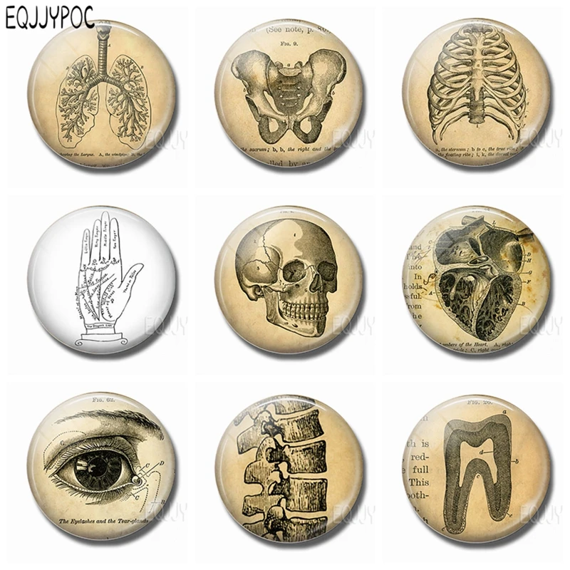 Магниты на холодильник магнитные наклейки с человеческим телом для разворота