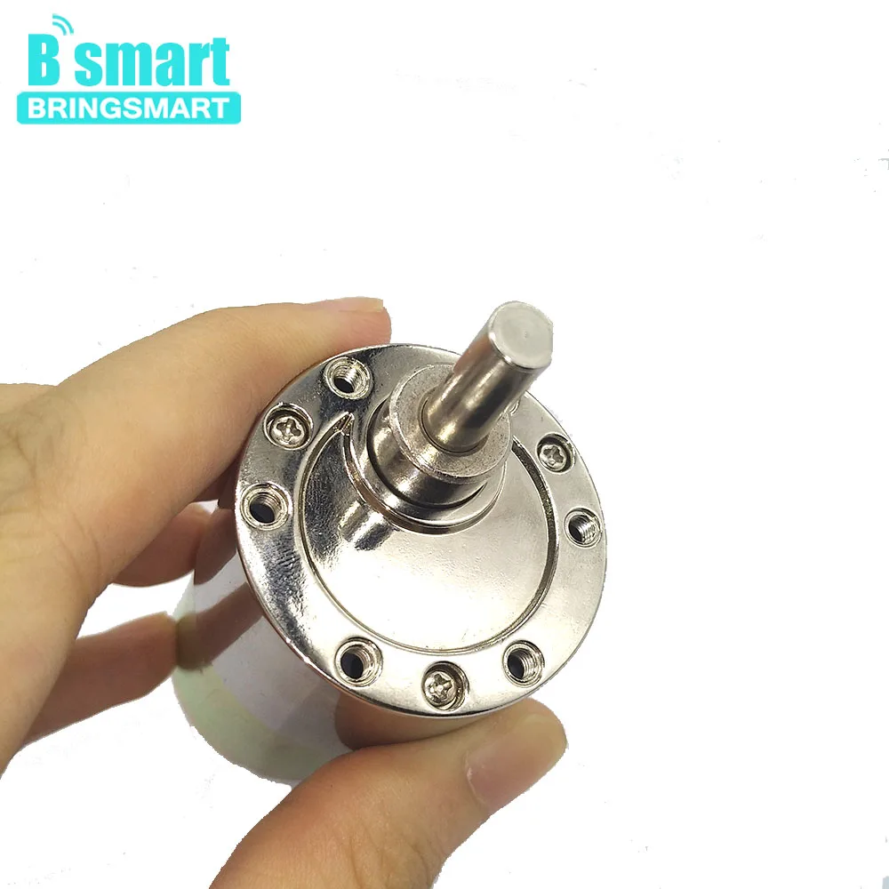 Bringsmart 37GB520 24V Микро Мотор 12V DC с высоким крутящим моментом MetalGear контроль скорости Реверсивный для дверного замка DIY