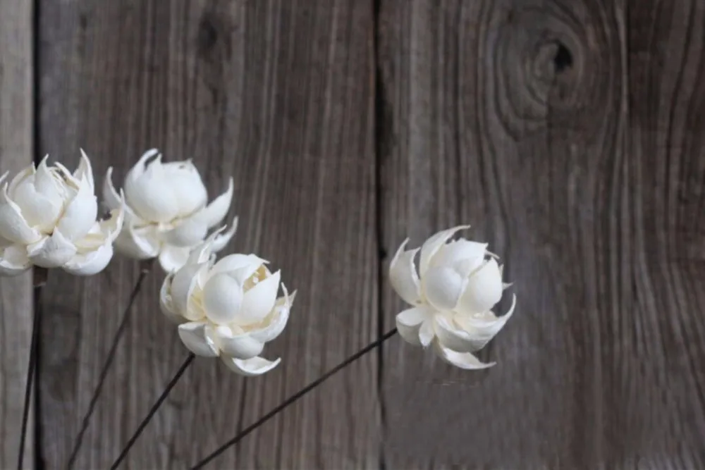 5 шт. белый/желтый Лотос водяная Лилия сушеный цветок для свадебной вечеринки