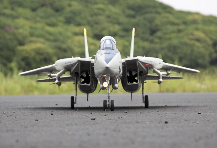 Freewing F14 F 14 Twin 80 мм EDF RC Jet Plane Tomcat с переменным подметанием крыла PNP|rc jet plane|jet planerc |